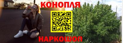 прущий лед Будённовск