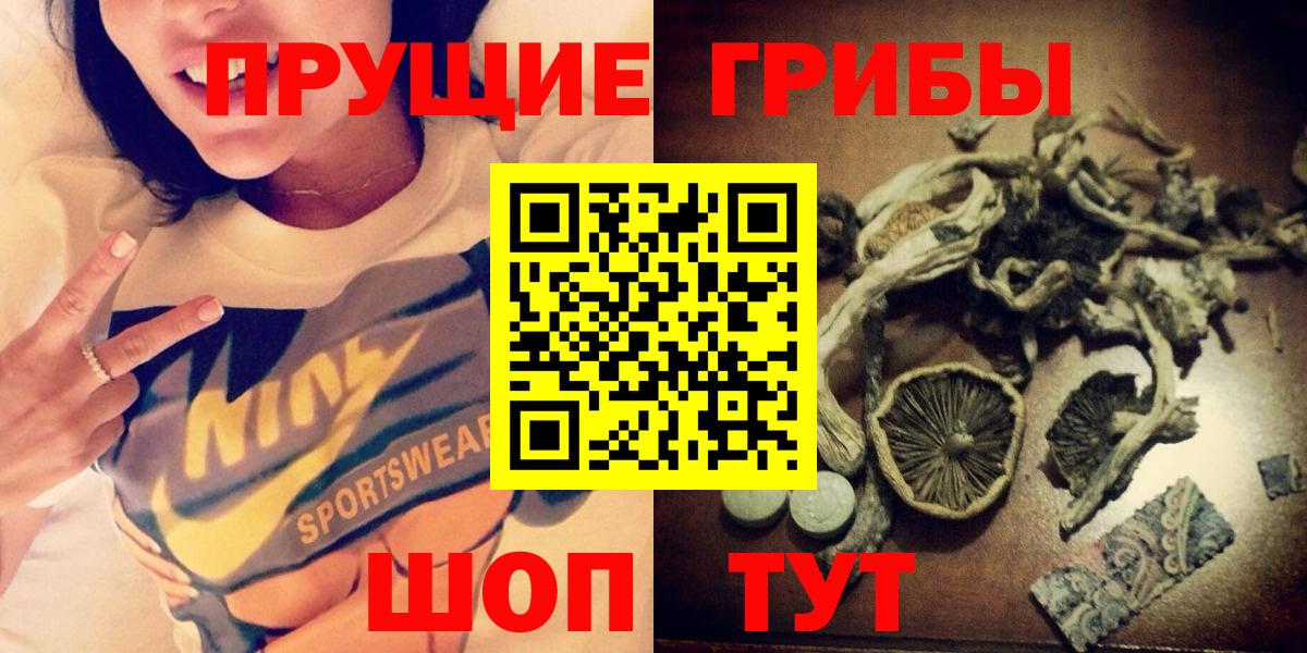 Псилоцибиновые грибы Psilocybe Рузаевка